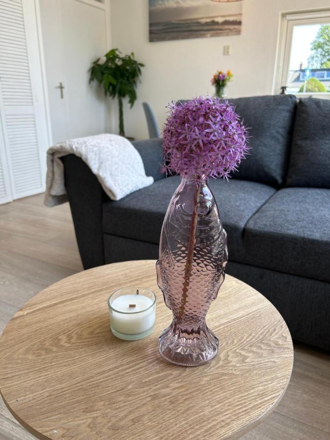 Amsterdam Beach Apartment 17, Incl Parking + Garden Zandvoort Dış mekan fotoğraf