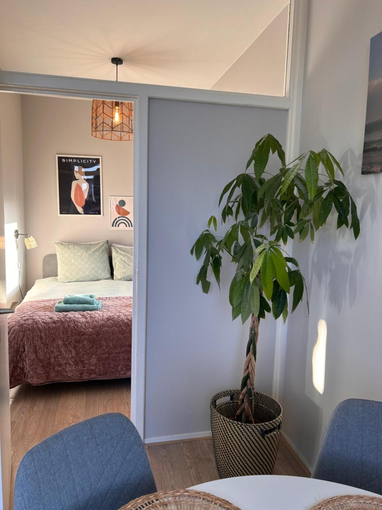 Amsterdam Beach Apartment 17, Incl Parking + Garden Zandvoort Dış mekan fotoğraf